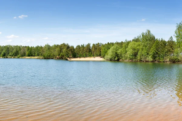 Skogstjärn — Stockfoto