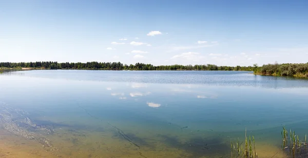 Forest Lake com areia fundo da cama de praia — Fotografia de Stock