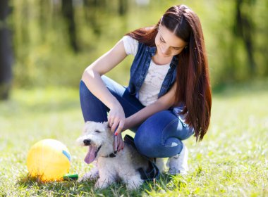 güzel genç kız onun köpekleri ile portresi  