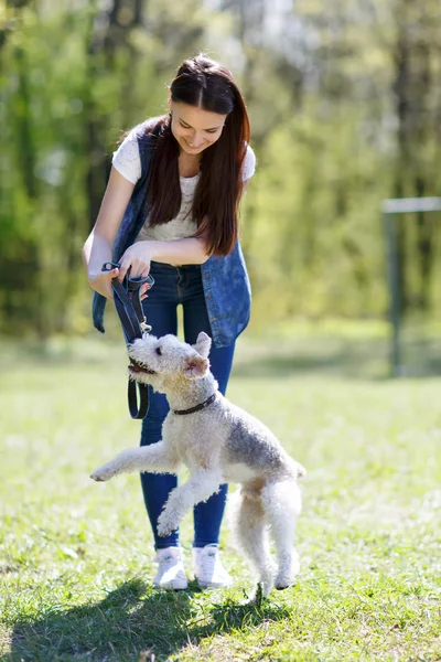 Retrato de bela jovem com seus cães — Fotografia de Stock