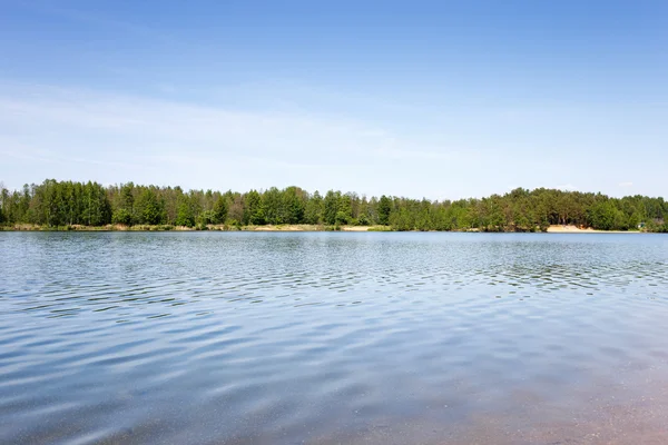 Skogstjärn — Stockfoto