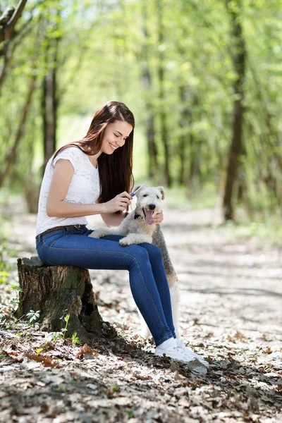 Portrait of Beautiful young girl with her dogs — Stock Photo, Image