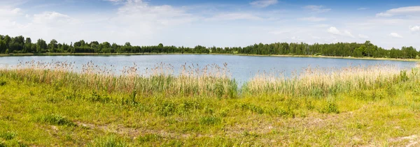 Floresta lago sob céu azul — Fotografia de Stock