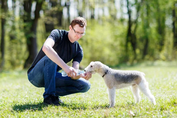 Dog drinking water from hands of men — Stock Photo, Image