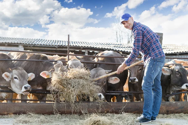 Hombre ranchero en una granja — Foto de Stock