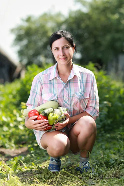 Skördade grönsaker — Stockfoto