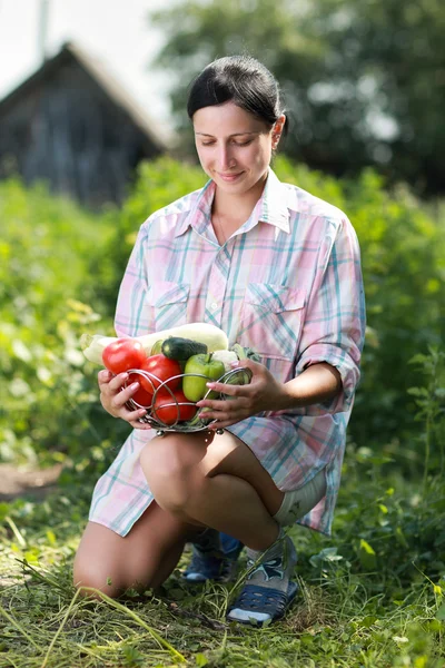 Légumes récoltés — Photo