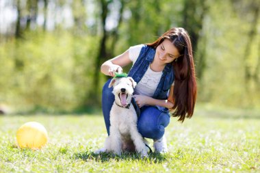 güzel genç kız onun köpekleri ile portresi  