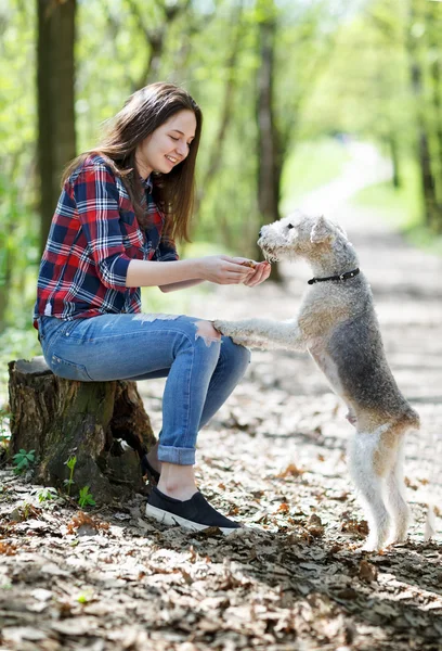 彼女の犬と美しい若い女の子の肖像画 — ストック写真