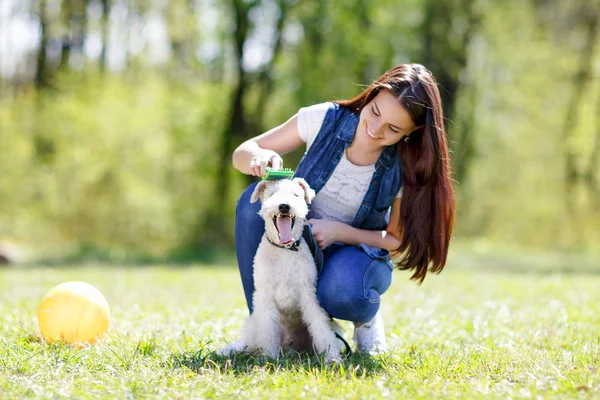 Portrait de belle jeune fille avec ses chiens — Photo