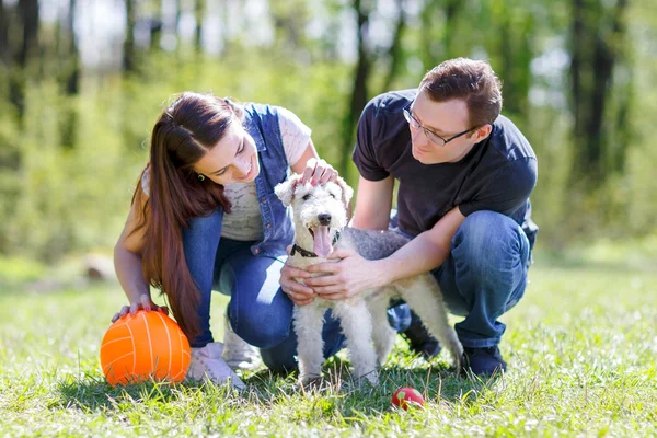 Feliz jovem casal e cão — Fotografia de Stock