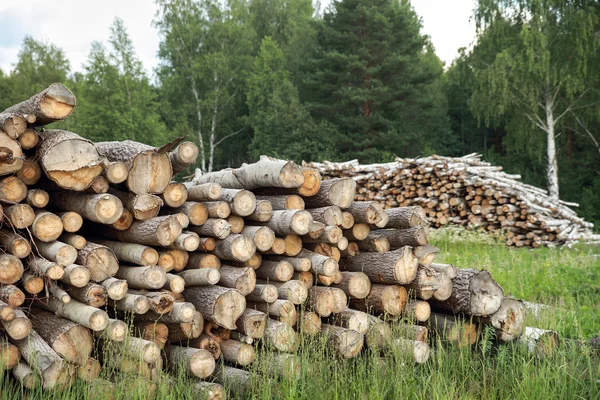 Madera de árbol cortada deforestada — Foto de Stock
