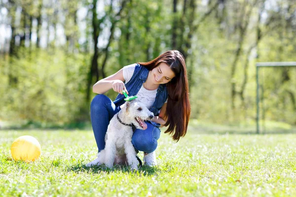 Retrato de Hermosa joven con sus perros — Foto de Stock