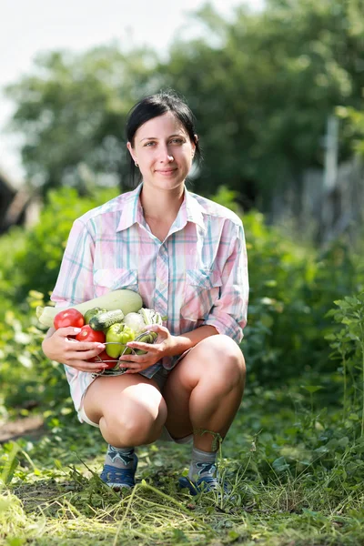 Produtos hortícolas colhidos — Fotografia de Stock