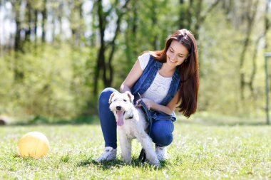 güzel genç kız onun köpekleri ile portresi  