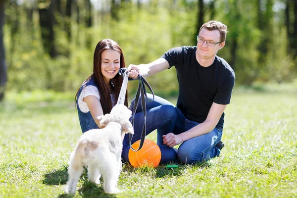 幸せな若いカップルと犬 — ストック写真