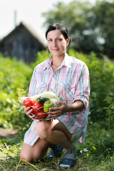 Légumes récoltés — Photo