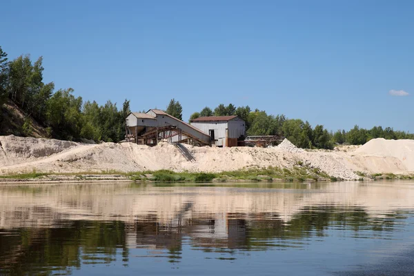 Kalksteinpflanze — Stockfoto