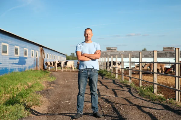 Lantbrukare arbetar på lantgård med mjölkkor — Stockfoto