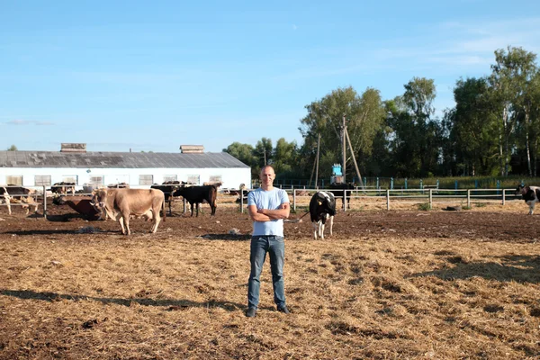 Agricultor está trabajando en granja con vacas lecheras — Foto de Stock