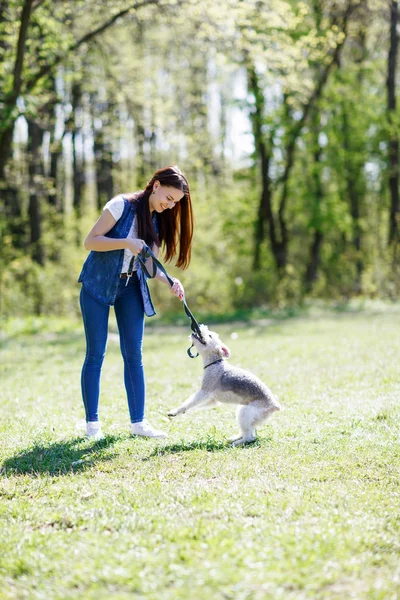 Portrait of Beautiful young girl with her dogs — Stock Photo, Image
