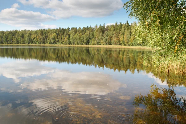 Рибальське озеро з чистою водою — стокове фото