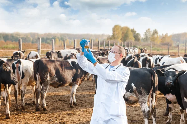 Farmer checks  biological samples — Stock Photo, Image