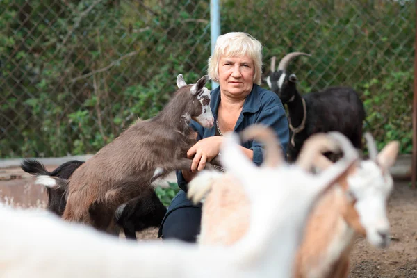 Mulher agricultora com cabras — Fotografia de Stock