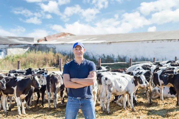 Agricultor está trabajando en granja con vacas lecheras — Foto de Stock