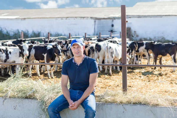 Agricultor está trabalhando na fazenda com vacas leiteiras — Fotografia de Stock