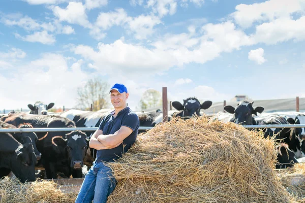 Farmář pracuje na farmě s dojnicemi — Stock fotografie