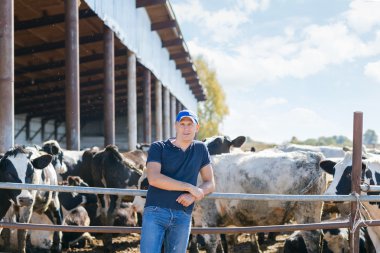 Çiftçi çiftlikte ineklerle çalışıyor.