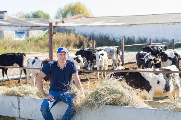 Αγρότης εργάζεται σε αγρόκτημα με αγελάδες γαλακτοπαραγωγής — Φωτογραφία Αρχείου