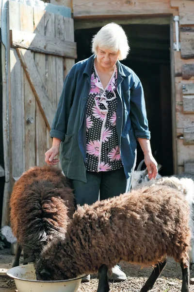 Vrouw boer met geiten — Stockfoto