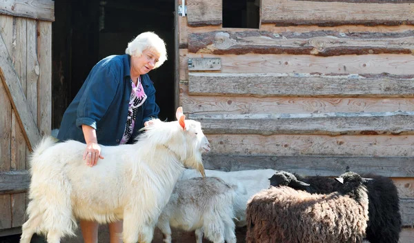 Žena zemědělce s kozami — Stock fotografie