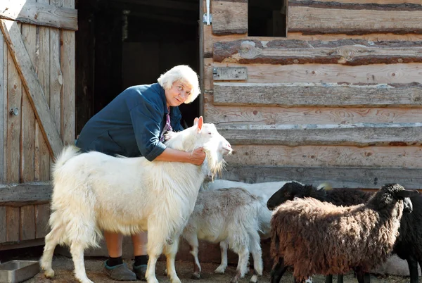 Vrouw boer met geiten — Stockfoto