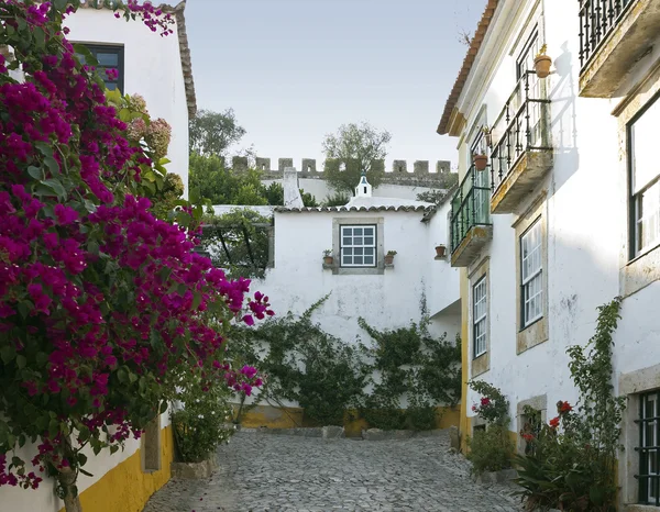 Medieval town Obidos — Stock Photo, Image