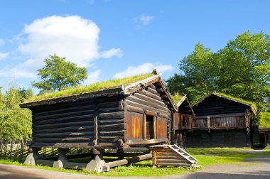 Norwegian Folk Museum
