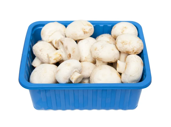 Champignon — Foto Stock