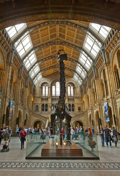 Museu de História Natural — Fotografia de Stock