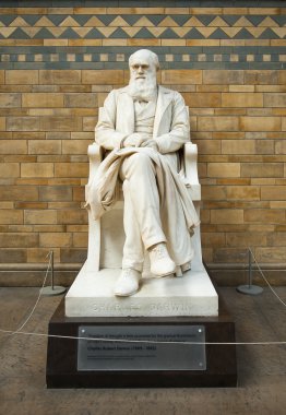 Charles Darwin 'in heykeli 