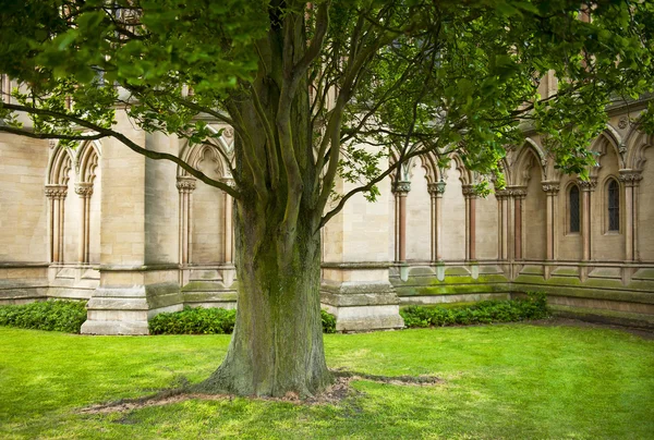 Cambridge — Stock Photo, Image