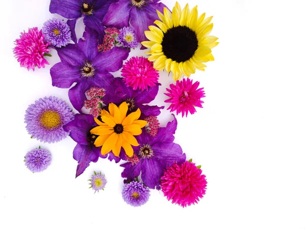 Hermosa Composición Flores Astronomía Girasoles Clematis Sobre Fondo Blanco — Foto de Stock