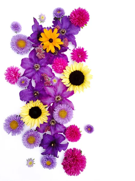 Piękna Kompozycja Kwiatów Astronomicznych Słoneczników Powojów Białym Tle — Zdjęcie stockowe