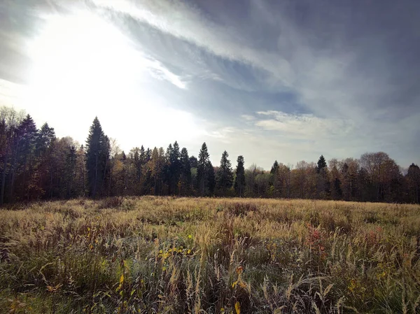 Landscape Fields Forests Distance Autumn Period — Stock Photo, Image