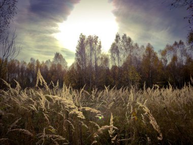 Sonbahar manzarası, tarlalar, ağaçlar ve gökyüzünde güneş ışığı Ekim 'de bulutlar..