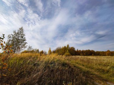 Sonbahar dönemi boyunca uzaktaki tarlaların ve ormanların manzarası.