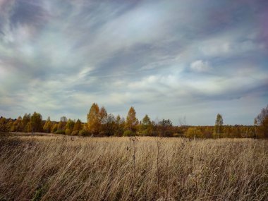 Sonbahar dönemi boyunca uzaktaki tarlaların ve ormanların manzarası.