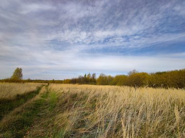Sonbahar dönemi boyunca uzaktaki tarlaların ve ormanların manzarası.