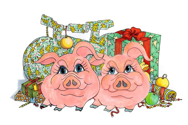 Drawing Two Funny Pigs Background Gifts Surprises White Background Isolated — Stock Photo, Image